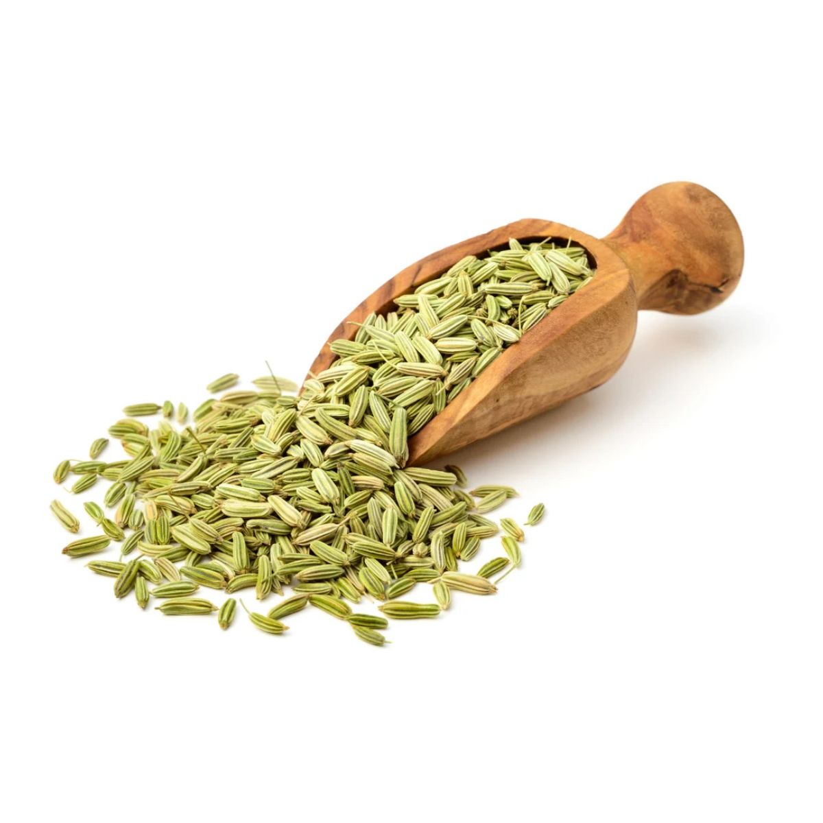 Fennel Seeds