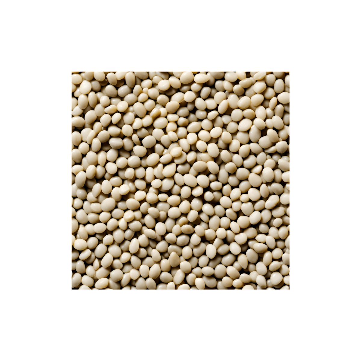 White Urad Dal