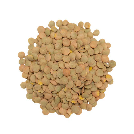 Green Lentils